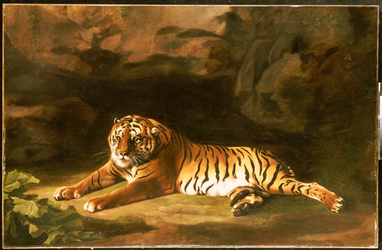 Porträtt av den kungliga tigern, ca 1770 av George Stubbs