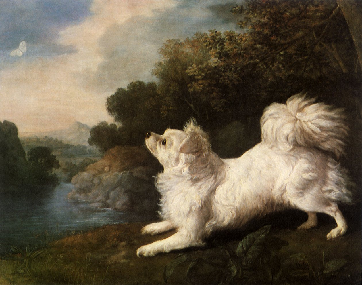 Spaniel tillhörande målaren Cosway jagar en fjäril, 1775 av George Stubbs