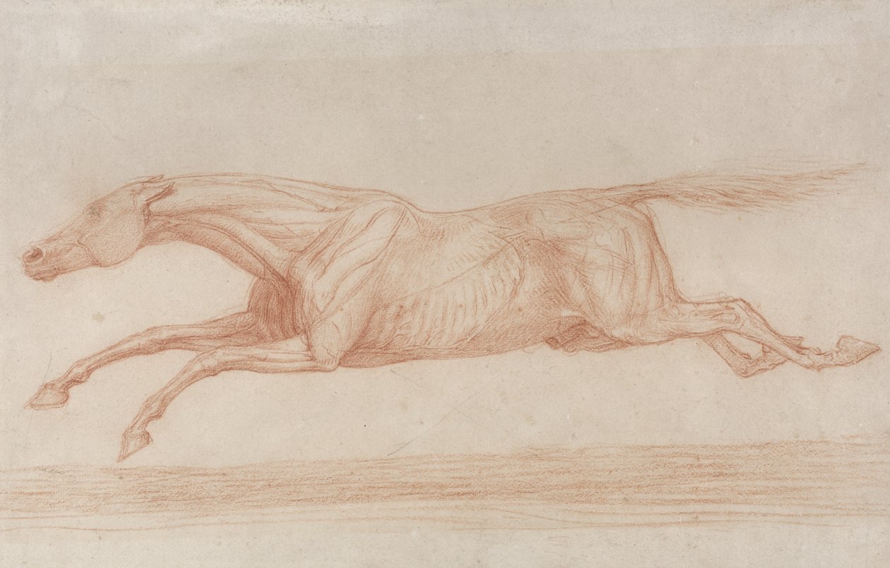 Undersøgelse af en væddeløbshest i aktion: galopperende til venstre (rødt kridt på brunpapir) sved av George Stubbs