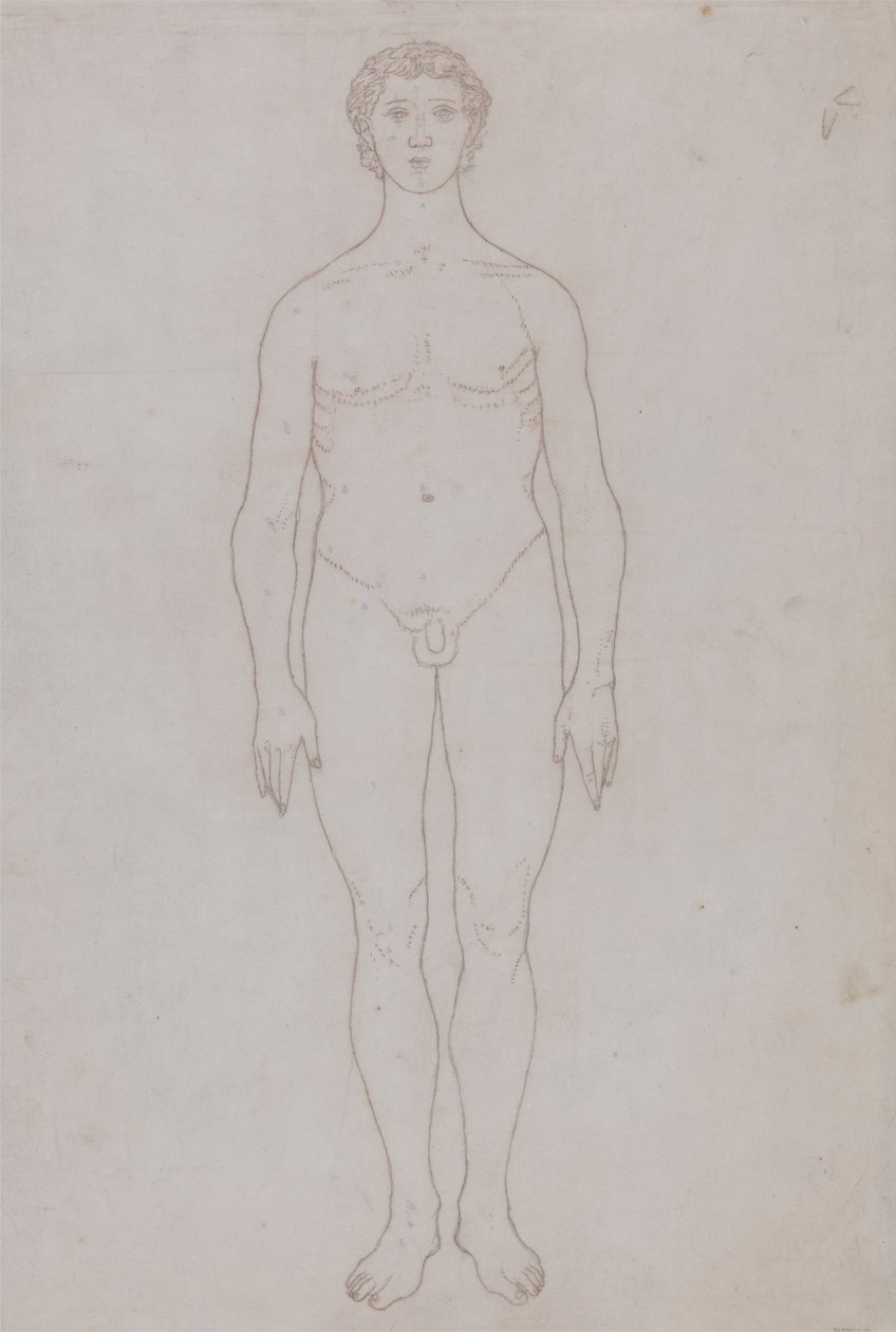 Studie av den mänskliga figuren, framifrån (konturritning för tabell VI) av George Stubbs