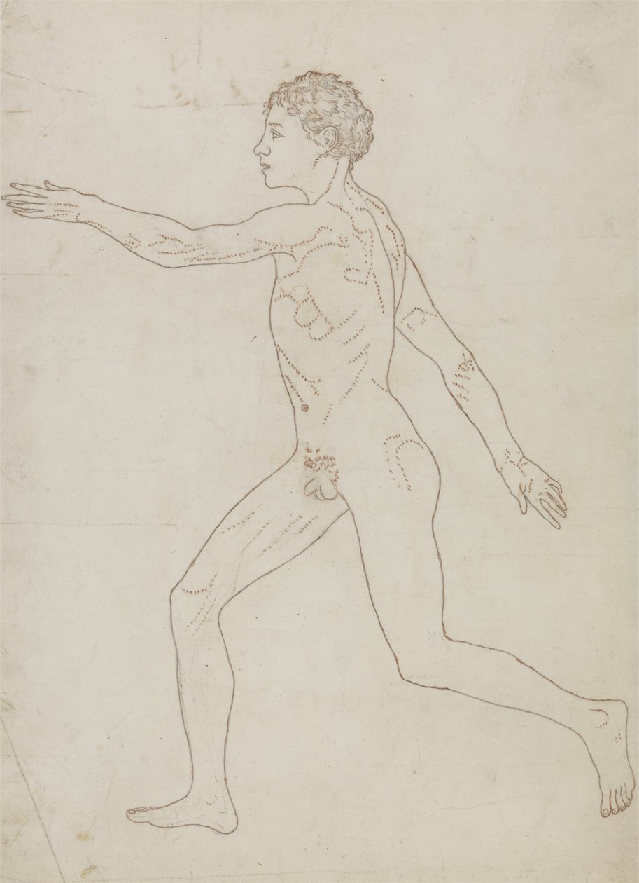 Studie av människofiguren, sidovy, från "En jämförande anatomisk beskrivning av människokroppens struktur med en tiger och en höns", ca 1795-1806 (grafit på papper) av George Stubbs