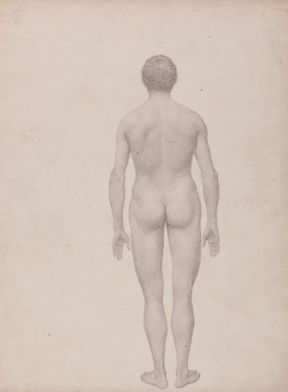 Studie av människofiguren, posterior vy, odissekerad, avslutad studie för tabell VII, från en jämförande anatomisk beskrivning av människokroppens struktur med en tiger och en fågelhöna av George Stubbs