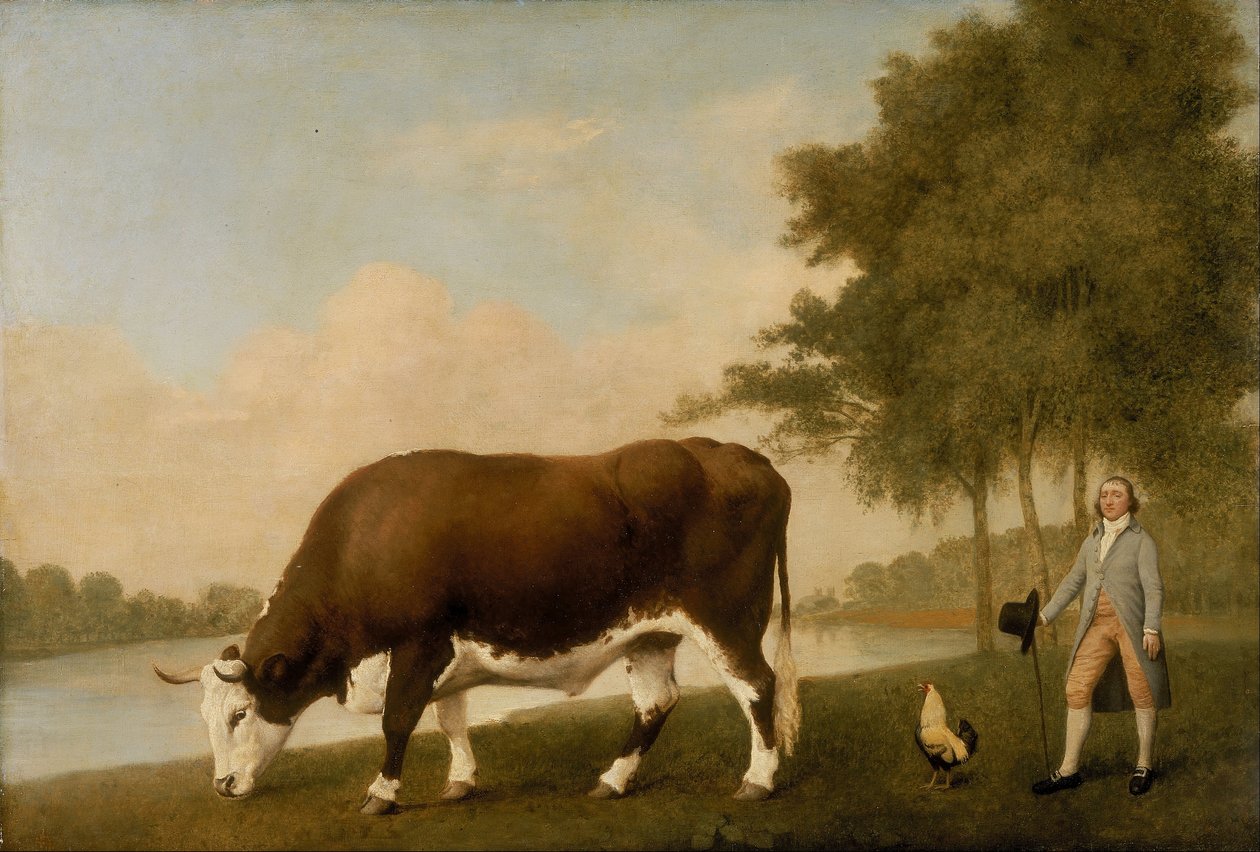The Lincolnshire Ox av George Stubbs