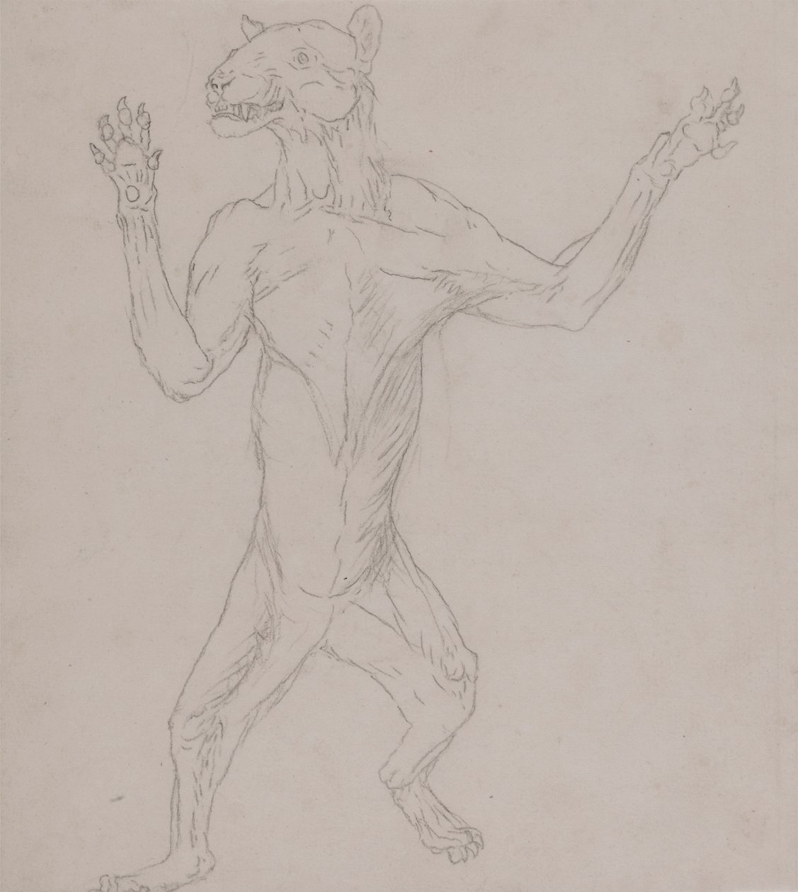 Tigerkropp som står i mänsklig hållning av George Stubbs