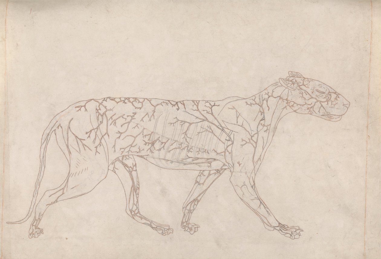 swedish av George Stubbs