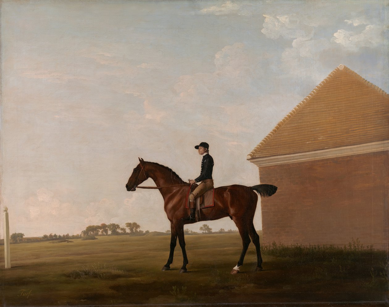 Turf, med Jockey uppe, på Newmarket, ca. 1766. av George Stubbs