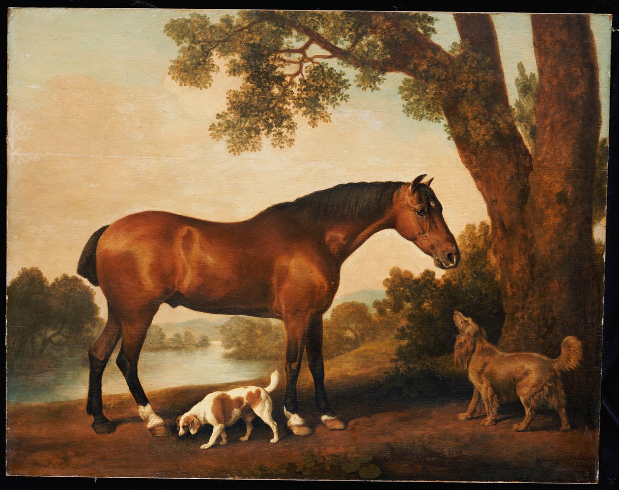 Okänd bild av George Stubbs