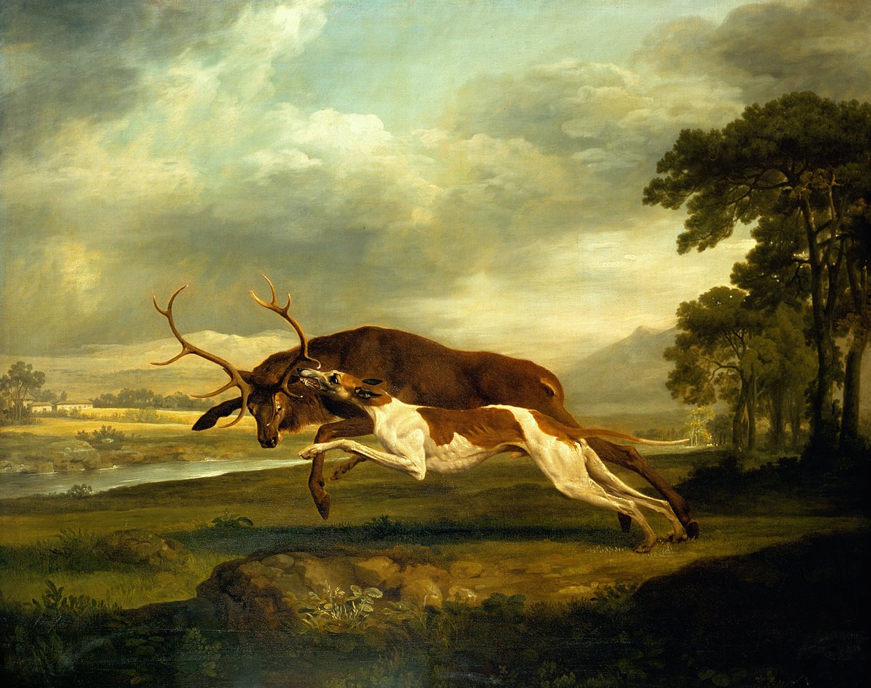 Okänd bild av George Stubbs