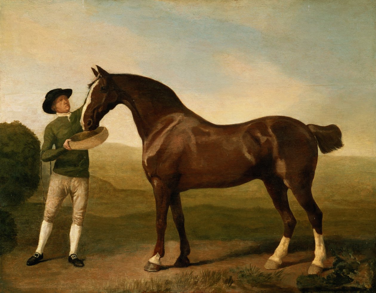 Okänd bild av George Stubbs