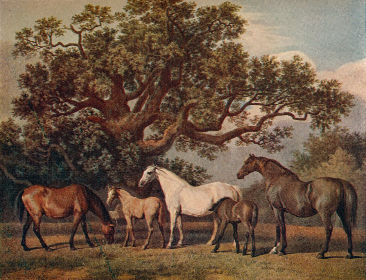 Uppfödningsston och föl, sent 1700-tal, 1922 av George Townley Stubbs