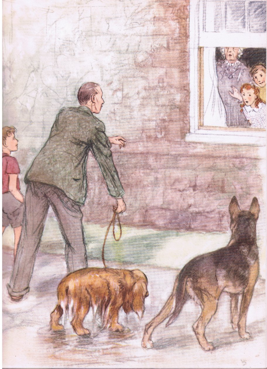 Spanielhundarna var dränkta i lera och slem, från Pets Limited utgiven av Collins av George Vernon Stokes