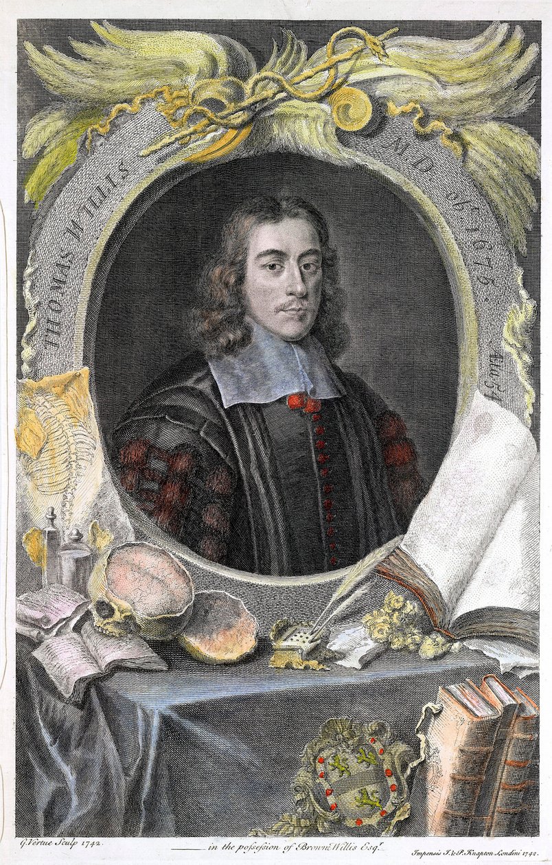 Portrait du medecin anglais Thomas Willis (1622-1675).Thomas Willis (1621-1675) engelsk läkare.handkolorerad gravyr av den engelske grafikern George Vertue. ©UIG/Leemage av George Vertue