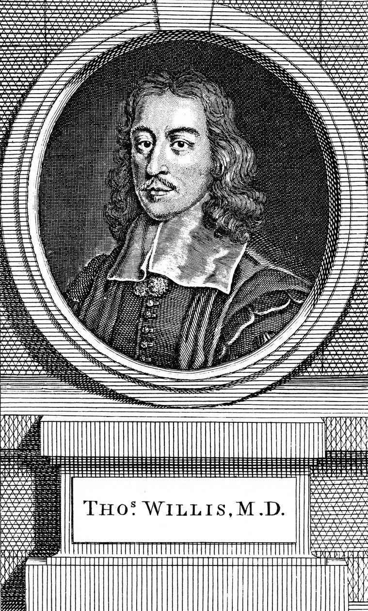 Thomas Willis, engelsk läkare från 1600-talet, 1742 av George Vertue