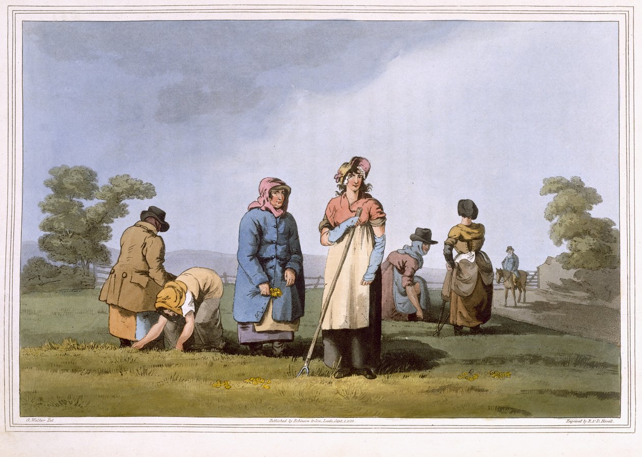 Lowkers, graverad av Robert Havell den äldre, publicerad 1814 av Robinson and Son, Leeds av George Walker