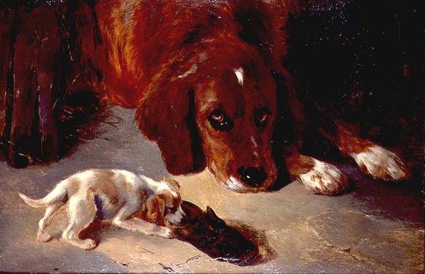 En nyfiken valp (bräda) av George Wiliam Horlor