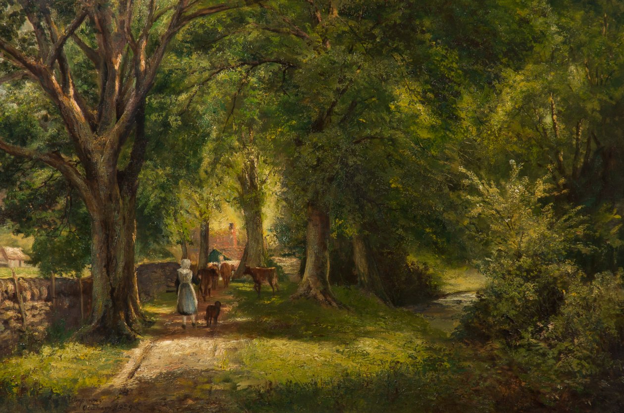 The Woods, Betts-Y-Coed av George Wimpenny