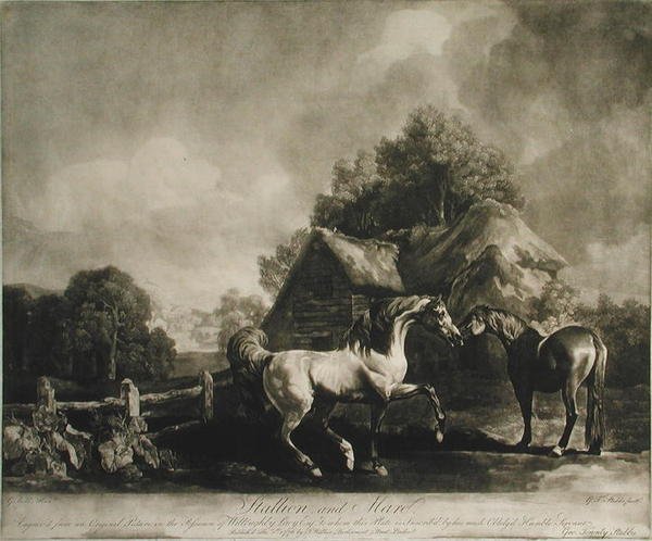 Hingst och sto, graverad av George Townley Stubbs (1756-1815) 1776 (mezzotint) av George after Stubbs