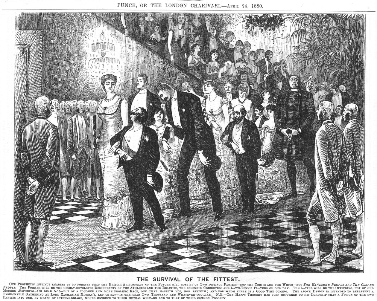 Tillämpning av darwinismen på 1900-talet. Av George du Maurier, 24 april 1880 (tecknad film från Punch, London) av George du Maurier