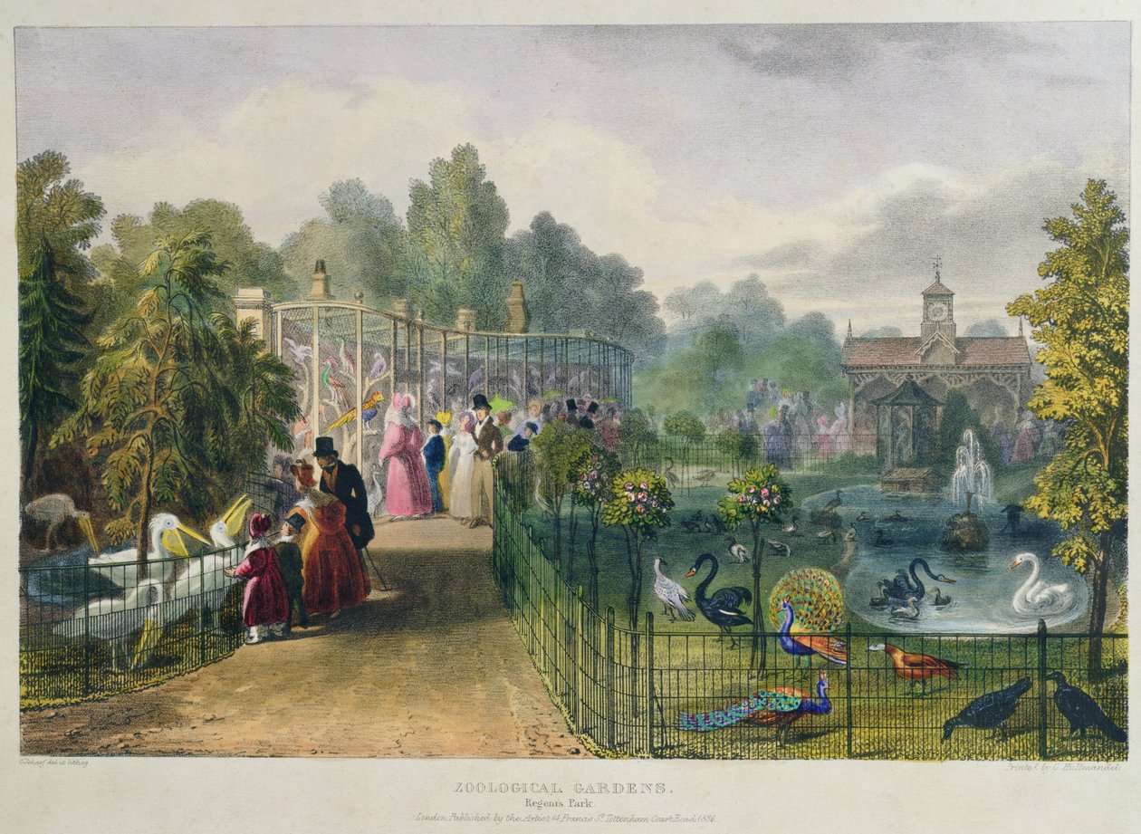 Aviary på Zoological Gardens, Regents Park, graverad och pub. av konstnären, tryckt av Charles Hullmandel (1789-1850), 1836 av George the Elder Scharf