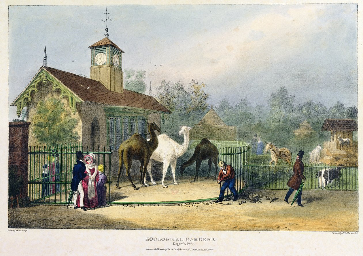 Kamelhuset vid Zoological Gardens, Regent