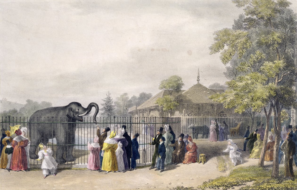 Elefanthuset vid Zoological Gardens, Regent