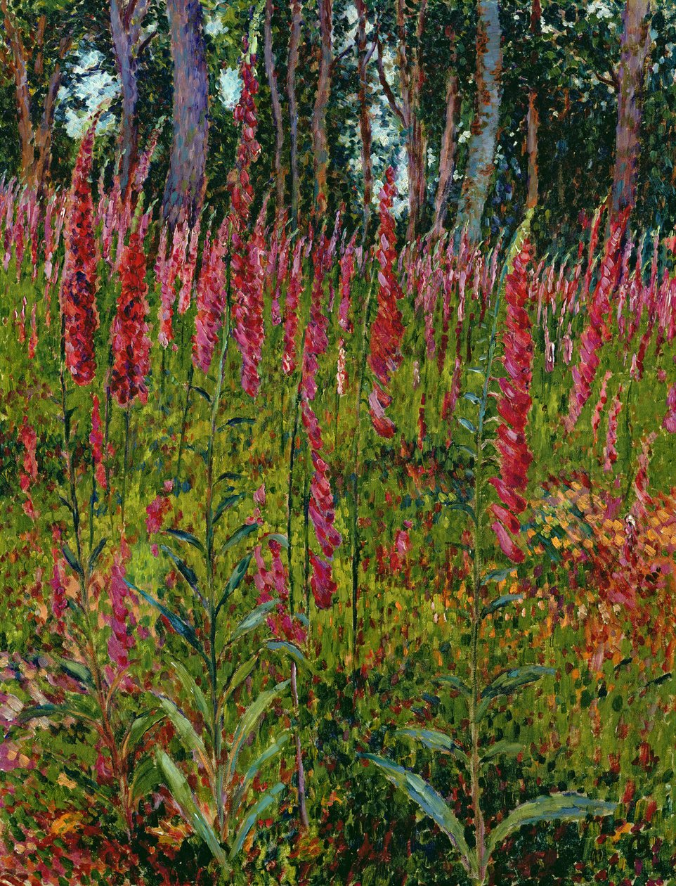 Foxgloves, ca 1916 av Georges Lacombe