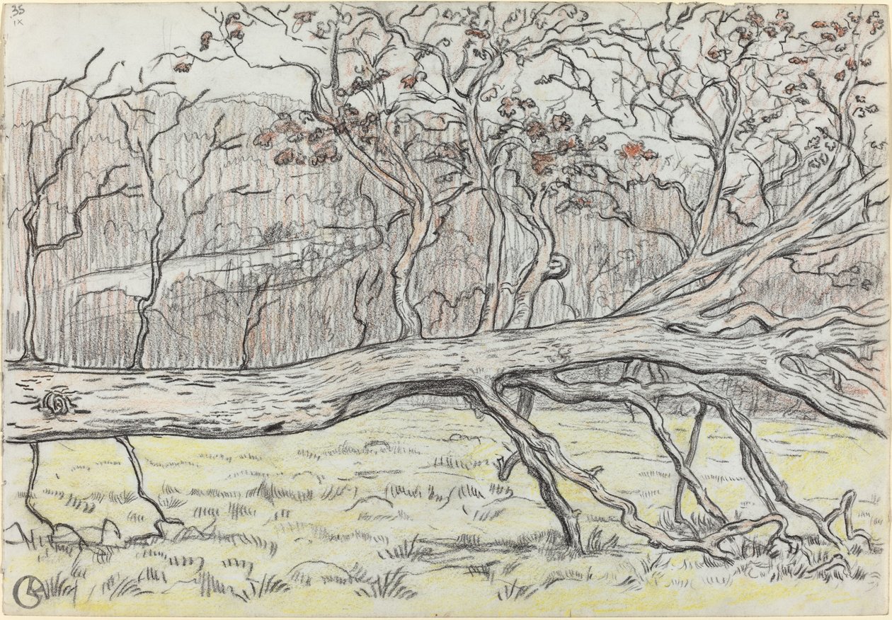 Fällt träd, Normandie av Georges Lacombe