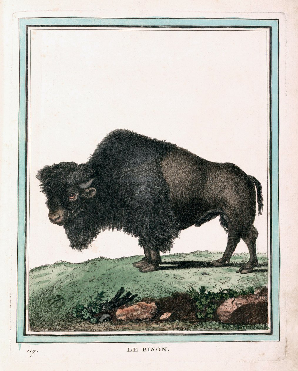 Antikt tryck av amerikansk buffel av Georges Louis Leclerc