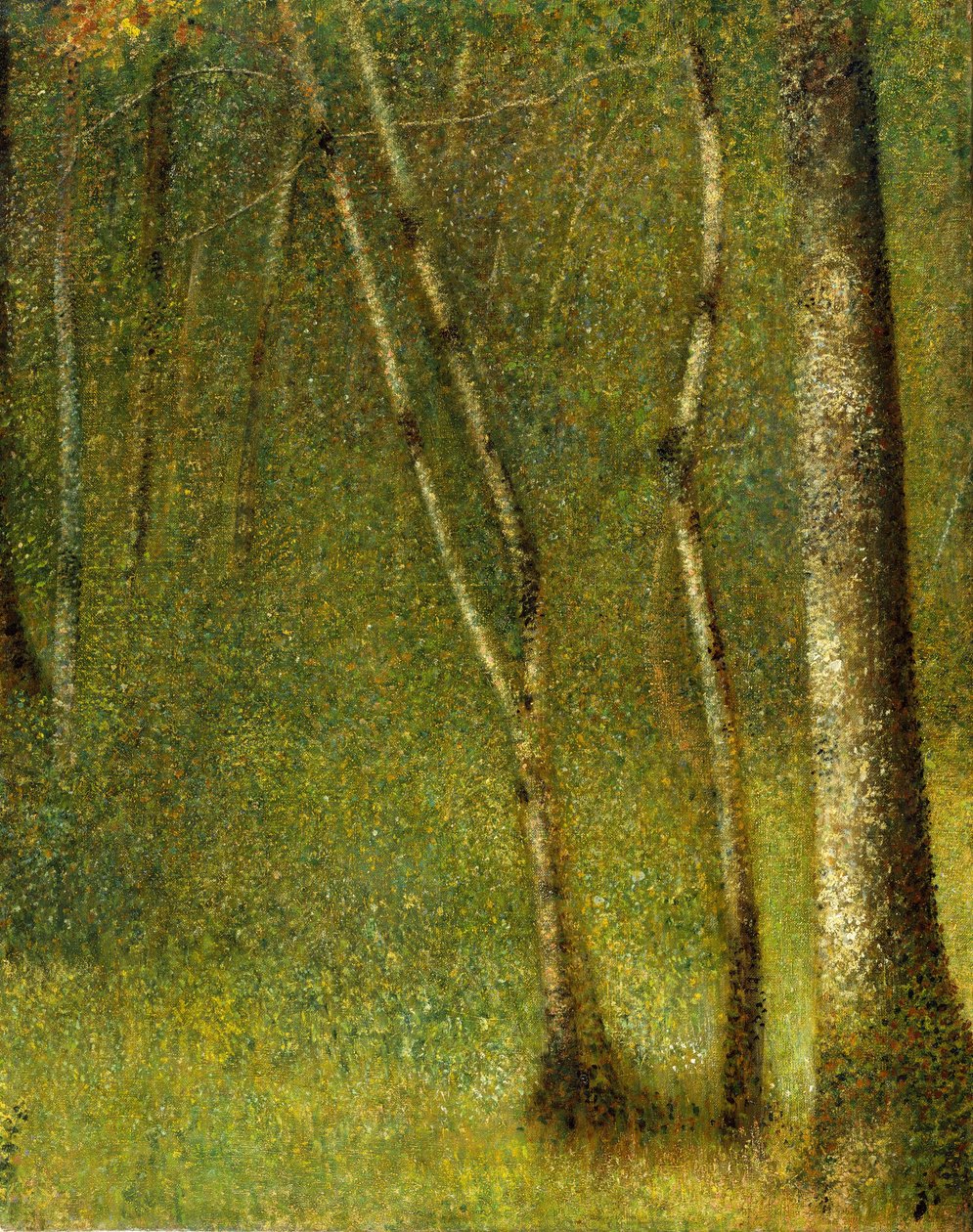 Skogen vid Pontaubert, 1881. av Georges Pierre Seurat