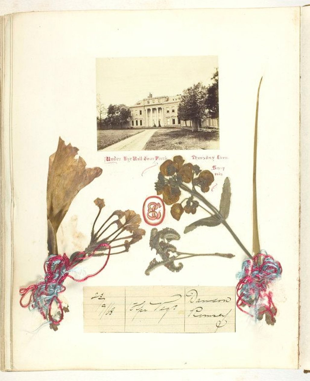 Utan titel [vy över Broadlands med torkade blommor], 1868. av Georgina Cowper