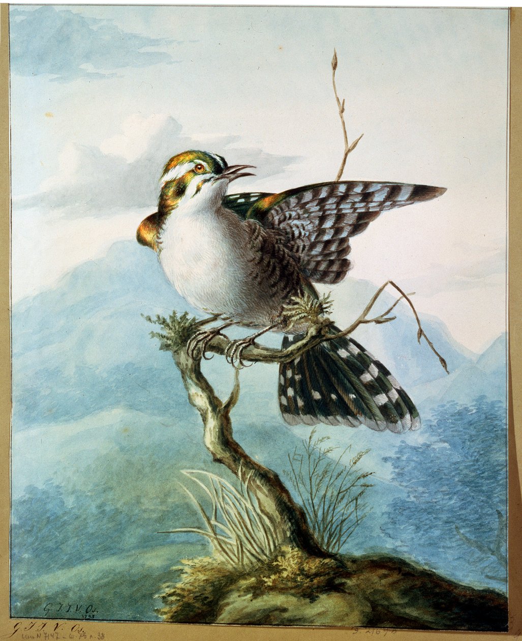 En liten fågel, 1798 av Georgius Jacobus Johannes van Os