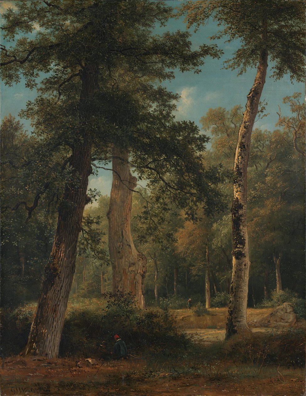 En skog vid Fontainebleau av Georgius Jacobus Johannes van Os