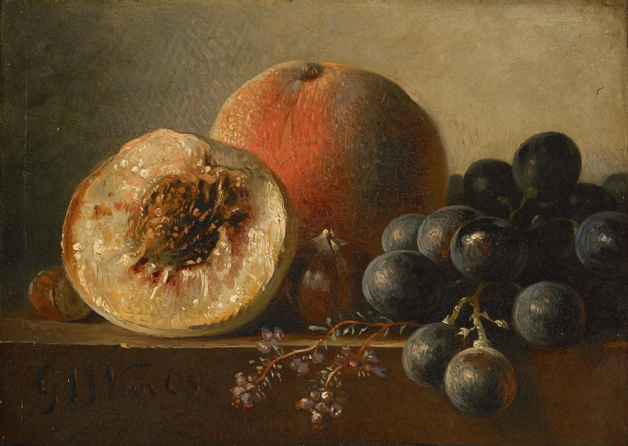 Frukter av Georgius Jacobus Johannes van Os