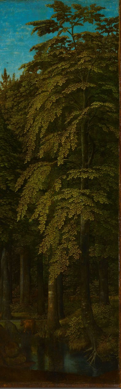 Äußere rechte Flügel eines Triptychons mit Blick in einen Wald av Gerard David