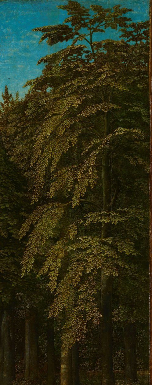 Utsikt i en skog, yttre högra flygeln av en triptyk av Gerard David