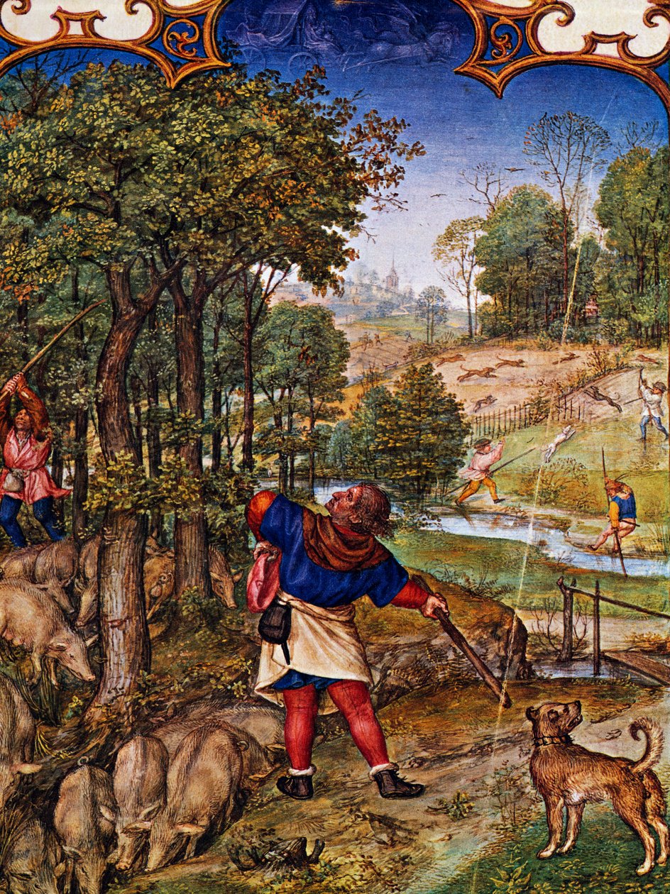 Mwezi wa Novemba, Kukusanya acorns na uwindaji wa sungura, miniature kutoka Grimani Breviary, na miniature na Gerard Horenbout (takriban 1465-kabla ya 1541), Alexander na Simon Bening (1483-1561), cod Lat I, 99 f 11v, Netherlandsswed av Gerard Horenbout