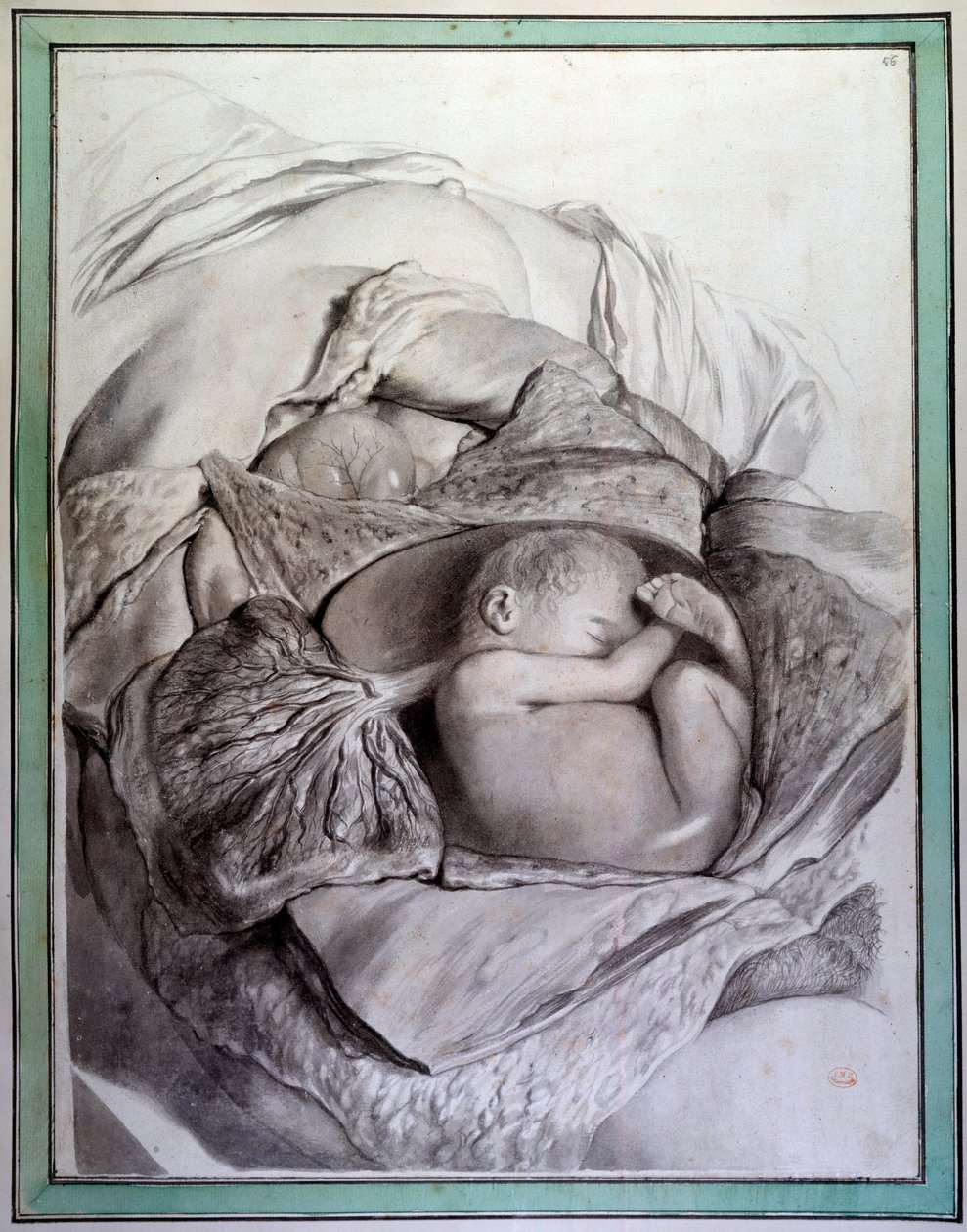 Representation av ett foster av en människa i en livmoder Gravyr av Gerard de Lairesse (1640-1711) som illustrerar "Anatomia Humani Corporis" av Govert Bidloo (eller Govard) (1649-1713) Medicinska fakultetens bibliotek från 1700-talet, Paris av Gerard de Lairesse