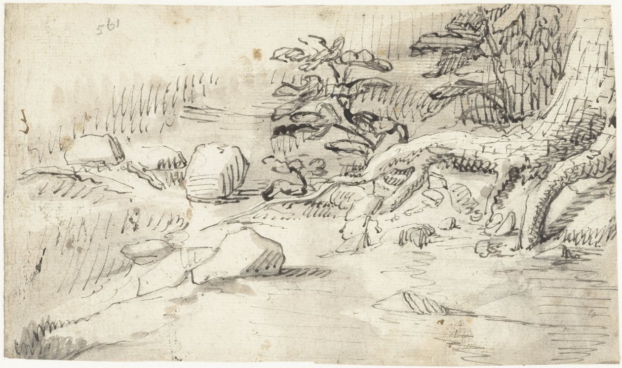 Studie av rötterna på ett träd nära en bäck av Gerard ter Borch (I)