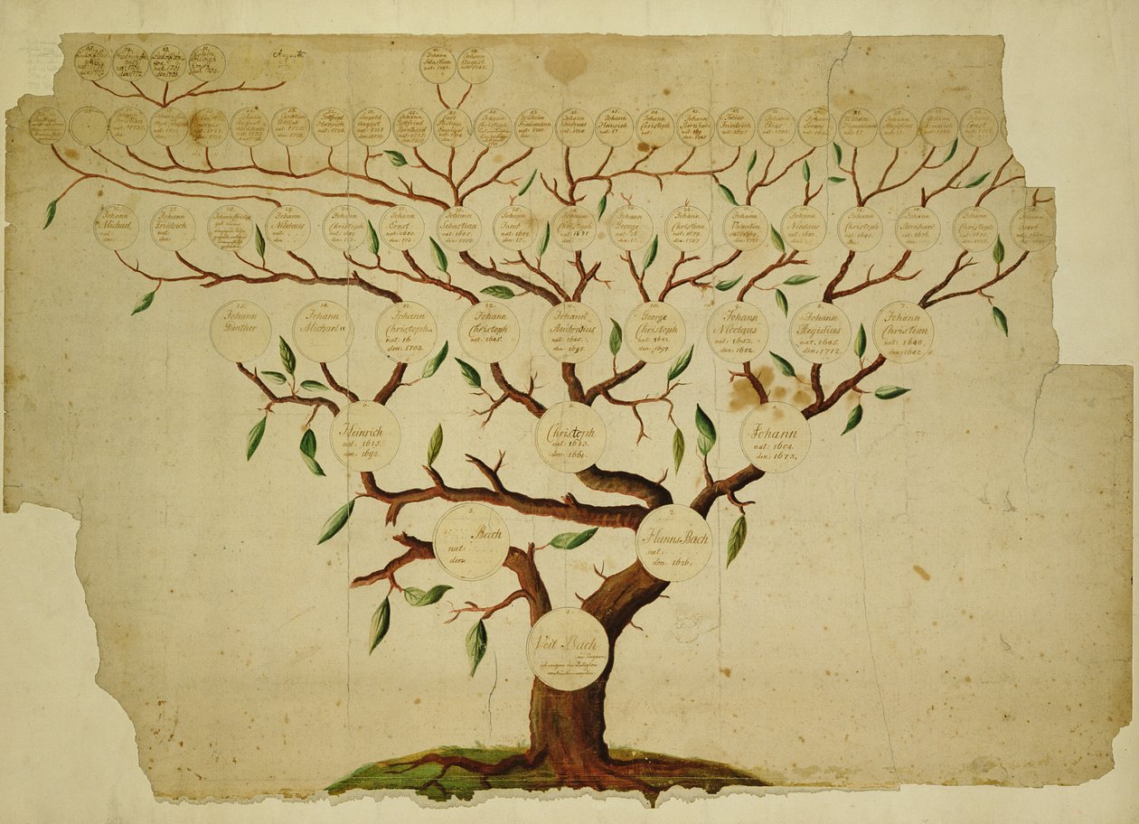 Bachs släktträd, ca 1750-1770 (penna och bläck och penna på papper) av German School