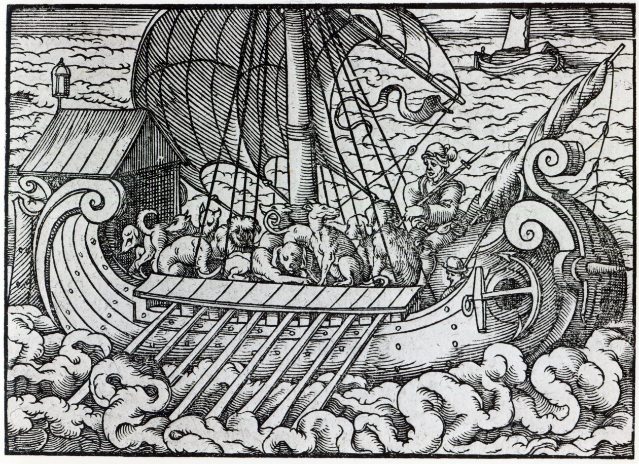 Vikingaskepp av German School
