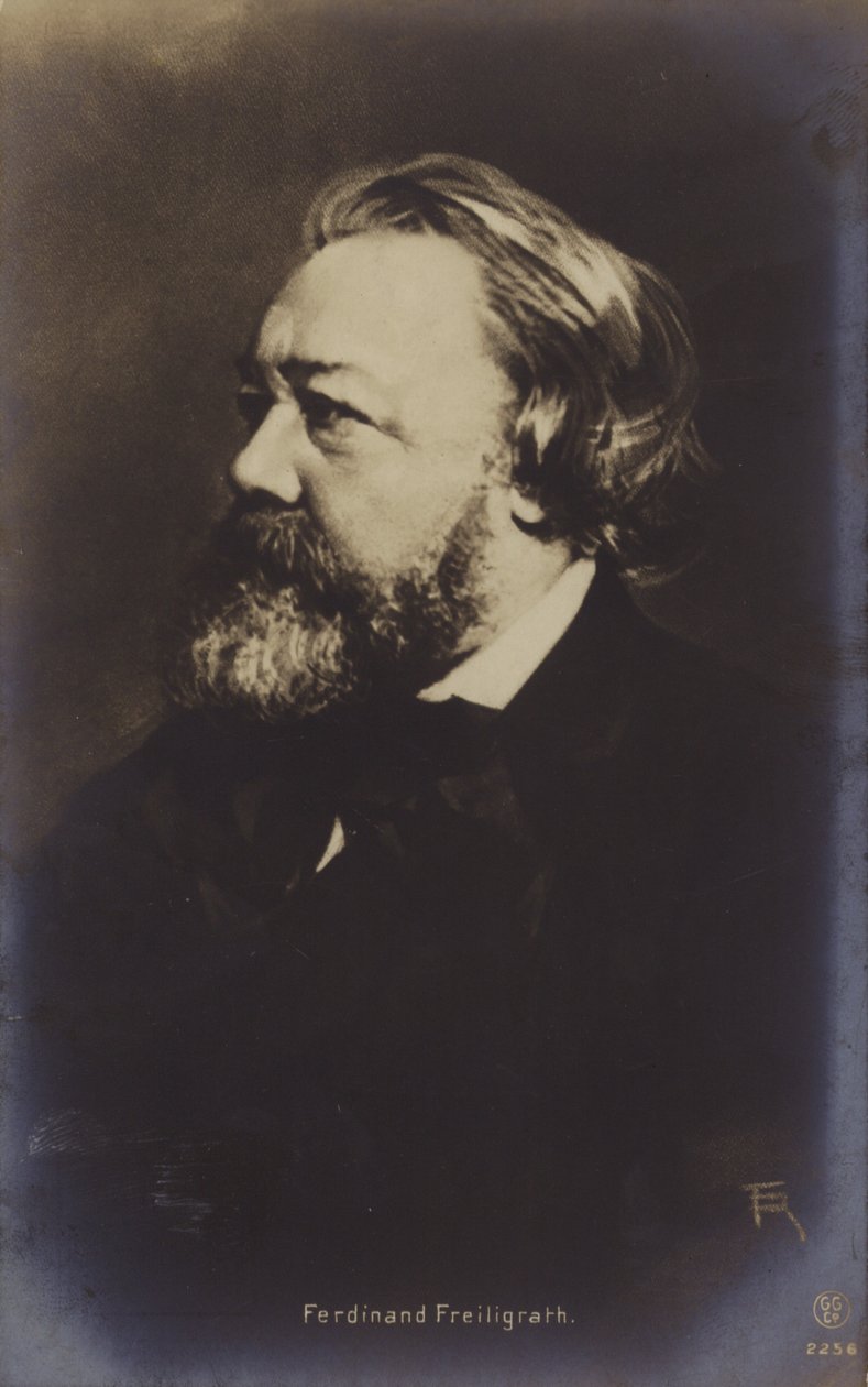 Ferdinand Freiligrath (1810-1876), tysk poet (svartvitt foto) av German Photographer