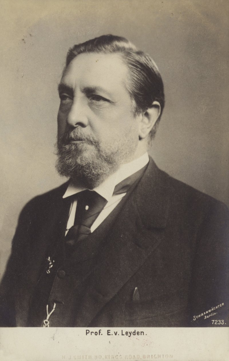 Professor Ernst Viktor von Leyden (1832-1910), tysk läkare (svartvitt foto) av German Photographer