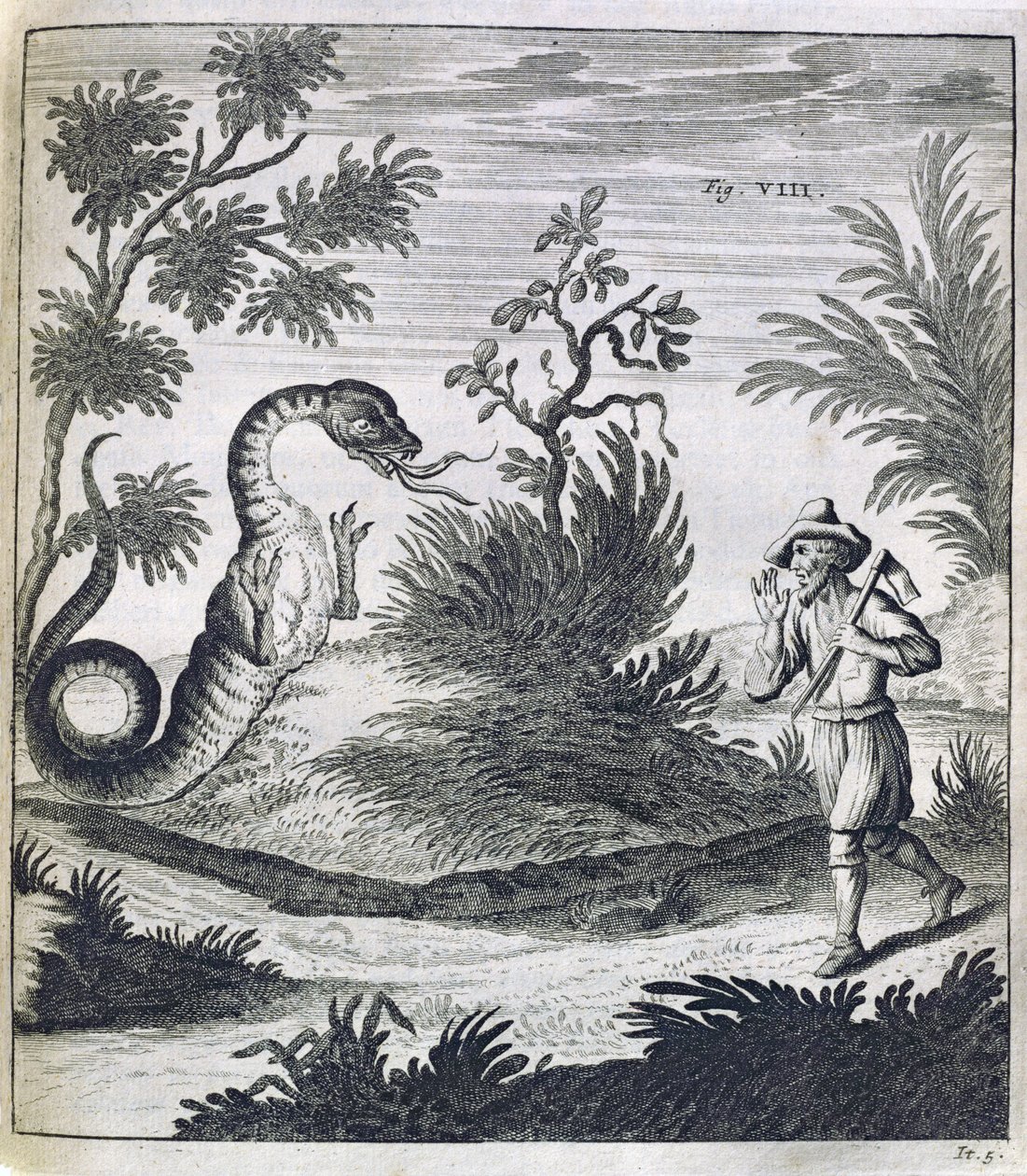 En rädd drake, ca 1660 av German School
