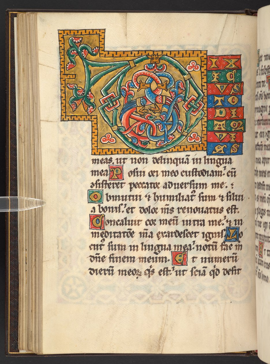 Lägg till. 60629, f.43v Stora inramade initialer i guld och färger med blad och ibland zoomorfisk och antropomorfisk ornament (vellum) av German School