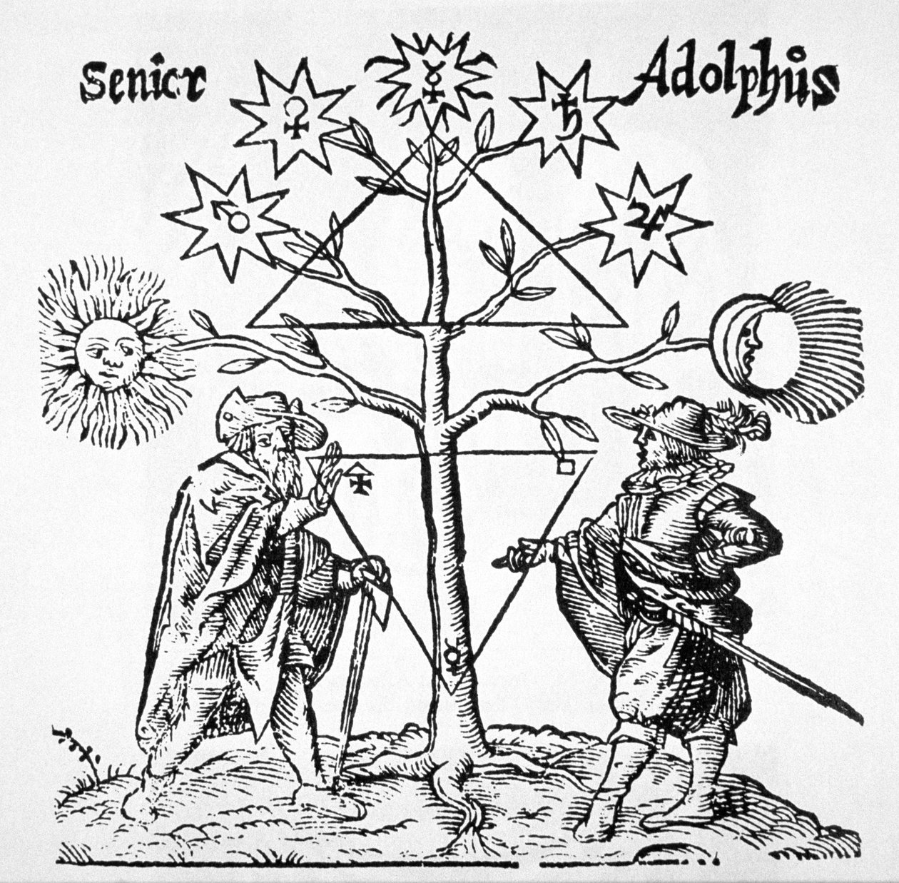 Alchemical Tree, Diagrammatic and Emblemmatic, från Museum Hermeticum av Thomas Norton (1749) illustrerad i en magisk historia publicerad i slutet av 1800-talet av German School