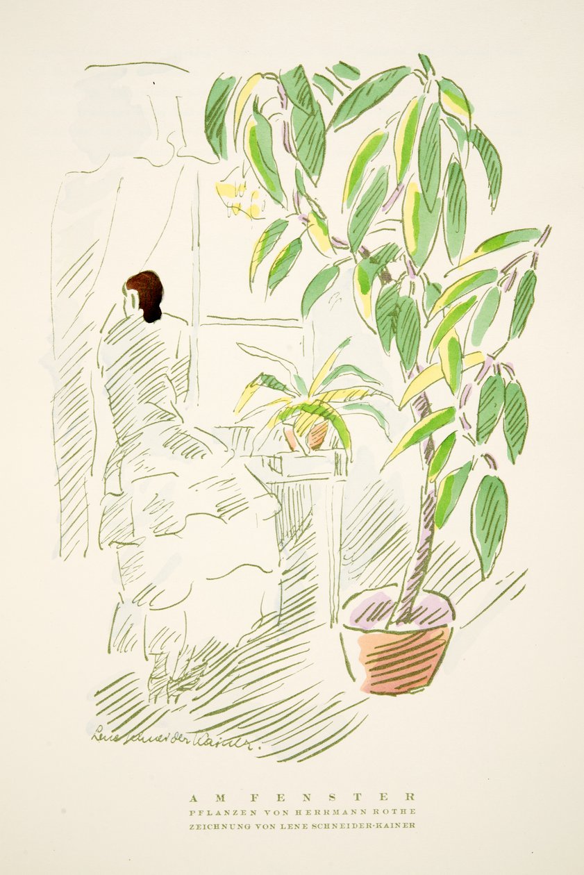 Am Fenster, växter av Hermann Rothe, från Styl, pub.1922 (pochoirtryck) av German School