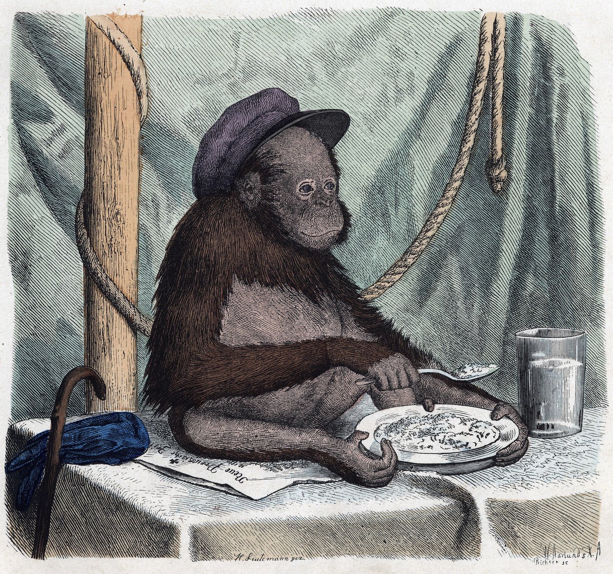 En utbildad orangoutang (orangutang, orangoutang, orangutang) äter ris med en sked. I När någon reser är detta vad han kan berätta, tysk saga av Franz Wiedemann av German School