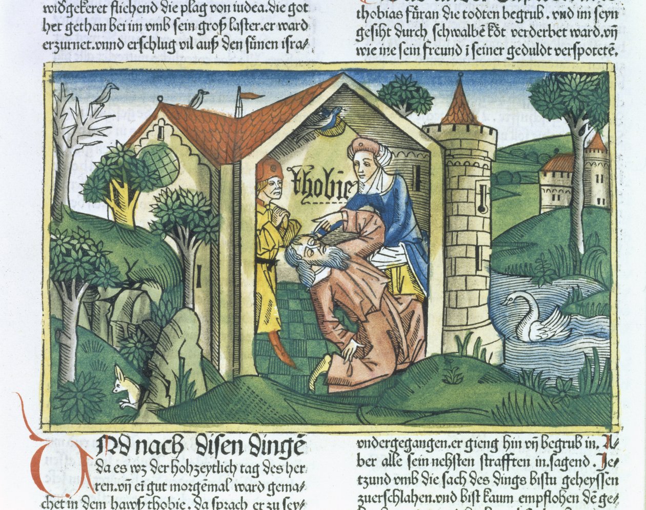 Apokryfer: Tobit är förblindad av sparvspillning, från Nürnbergbibeln (Biblia Sacra Germanaica) (färgat träsnitt) av German School