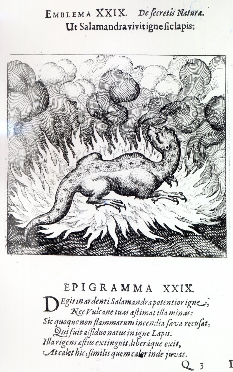 Såsom salamandern lever i eld, så även stenen, emblem XXIX från Atalanta fugiens av Michael Maier, 1617 av German School
