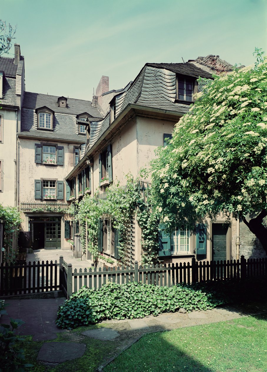 Ludwig van Beethovens (1770-1827) födelseplats på Bonngasse 20, Bonn av German School